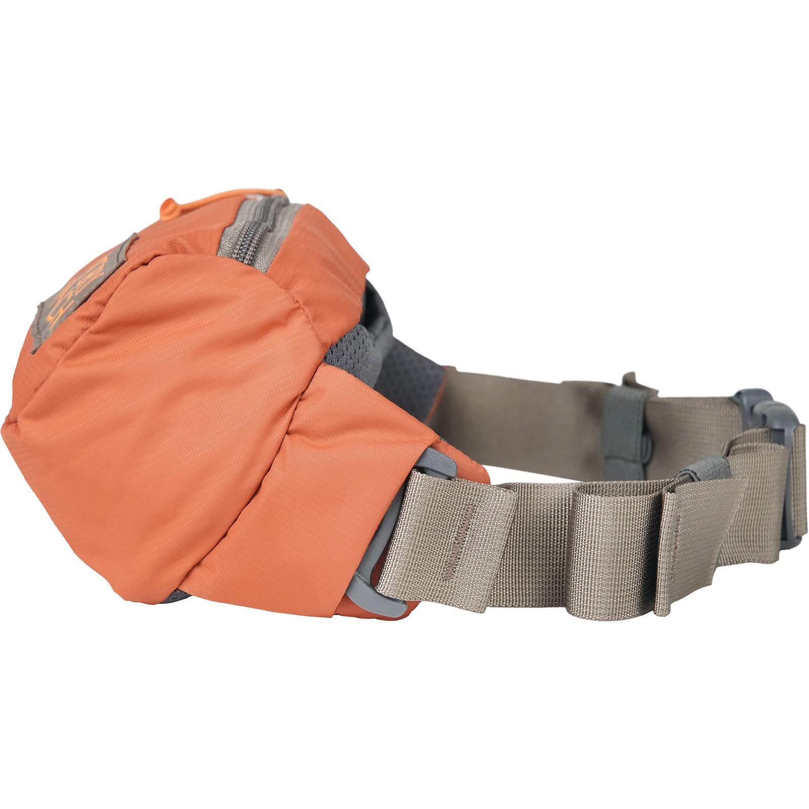 Forager Hip Pack