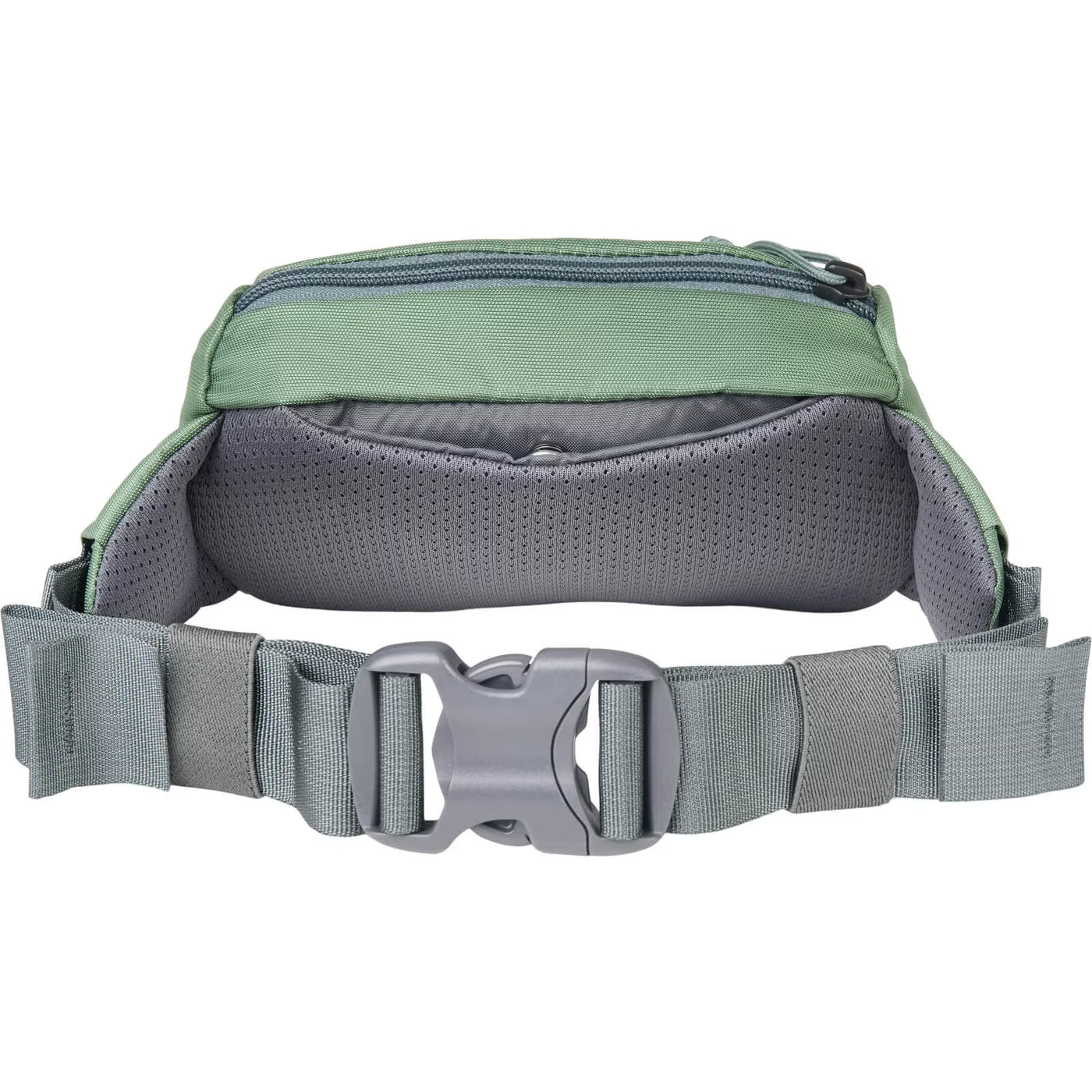 Forager Hip Mini